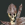 Armed Skeleton 25px.png