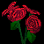 Red Rose.png