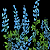Blue Lupine.png