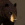 Black Bear 25px.png