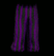 Black Purple Striped Baggy Pants.png