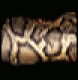 Brown Snake Skin.png