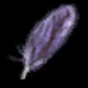 Cockatrice Feather.png