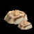 Tree Mushroom.png