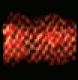 Red Snake Skin.png