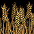 Wheat.png