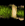 Green Snake Skin.png