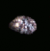 Titanium Ore.png