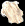 Polar Bear Fur.png