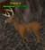 Creature Deer.png