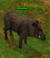 Creature boar.png