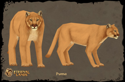 Puma - Eternal Lands Wiki