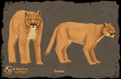 puma wiki