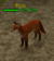 Creature fox.png